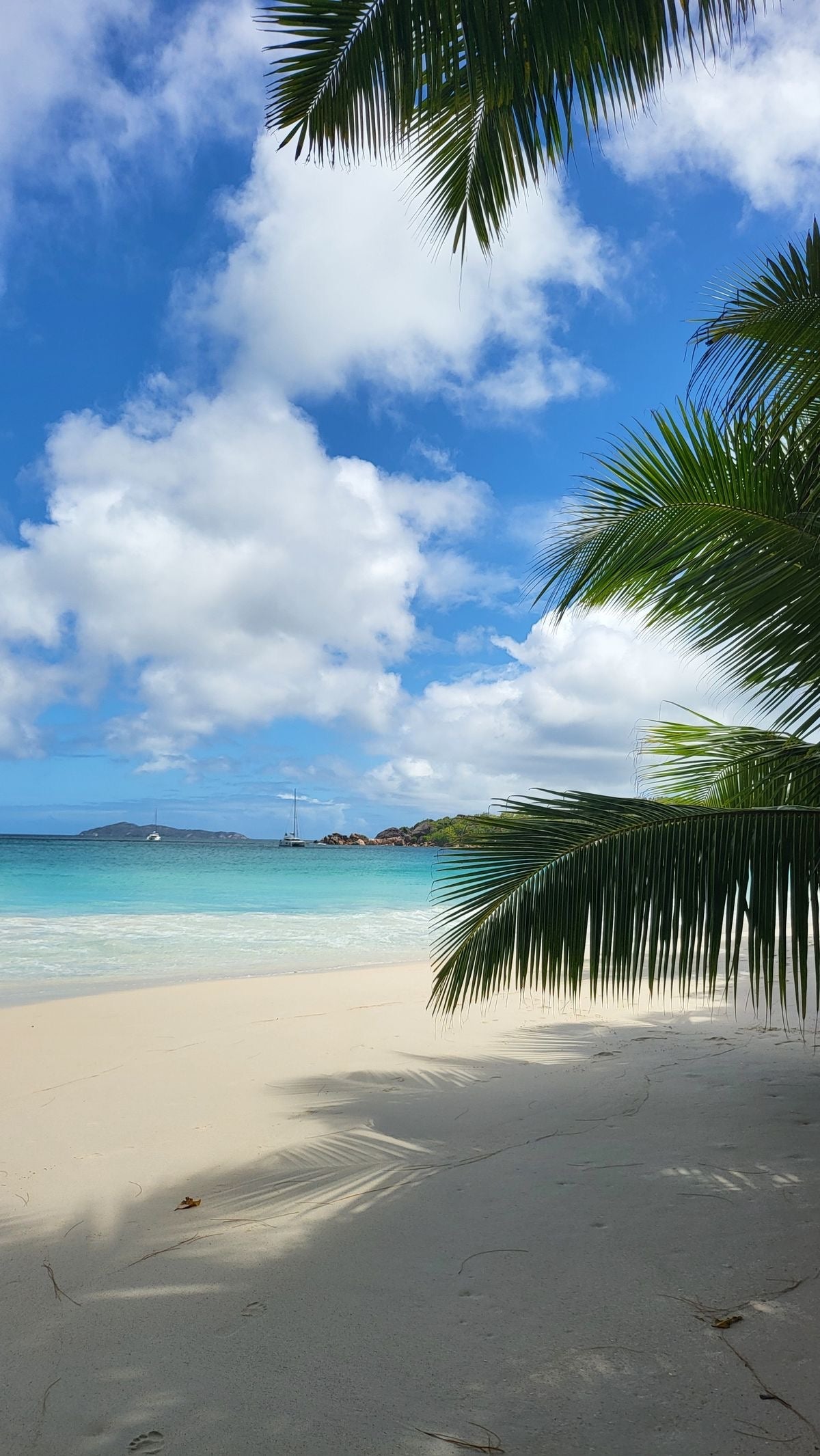 Summer Postcards𓆉